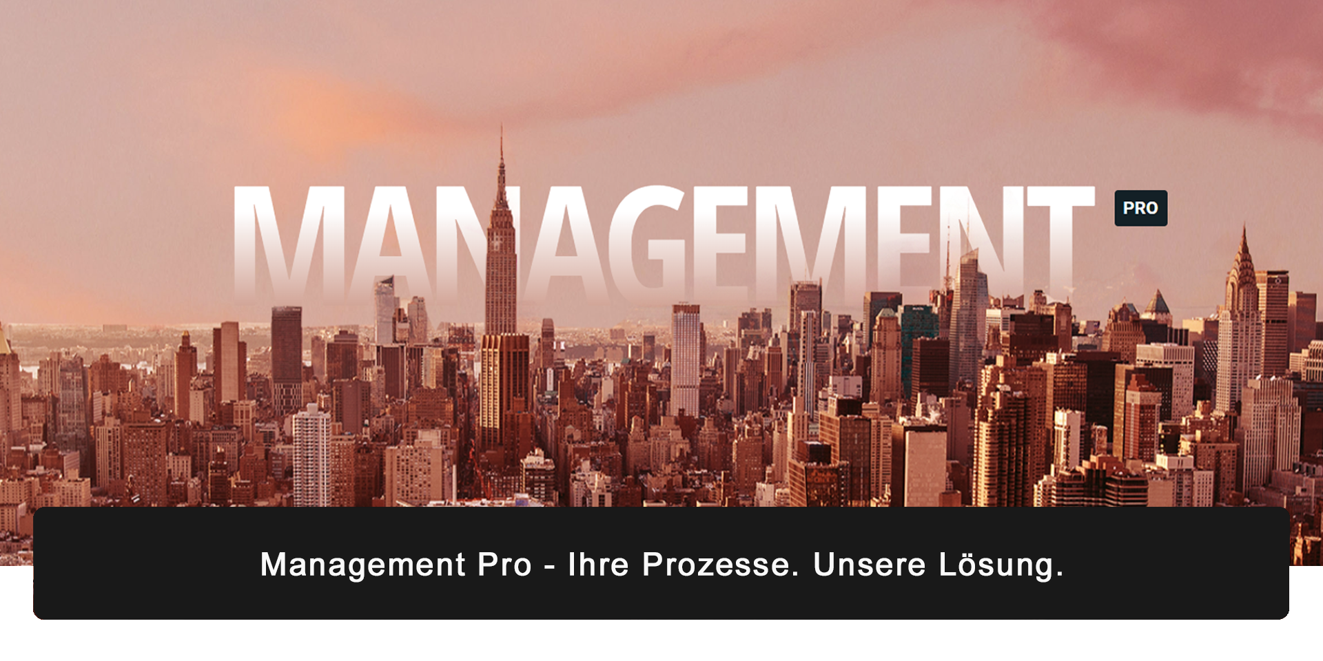 Management Pro Screenshot